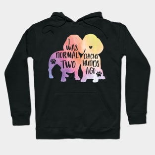 I was normal two dachshunds ago Hoodie